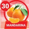 2025-06-14 11:00 30 Mandarina