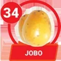 2025-07-29 11:00 34 Jobo