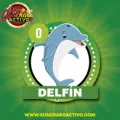 2025-08-17 14:00 0 Delfín