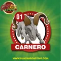 2025-08-16 17:00 1 Carnero