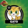 2025-06-13 08:00 11 Gato