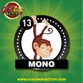 2025-08-05 08:00 13 Mono