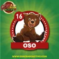 2025-12-12 12:00 16 Oso