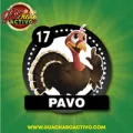 2025-03-15 18:00 17 Pavo