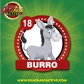 2025-08-16 19:00 18 Burro