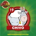 2025-08-06 09:00 19 Chivo