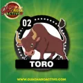 2025-03-15 16:00 2 Toro
