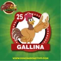 2025-03-16 09:00 25 Gallina