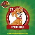 2025-07-29 15:00 27 Perro