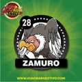 2025-06-13 12:00 28 Zamuro