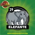2025-09-12 15:00 29 Elefante