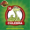 2025-03-15 09:00 36 Culebra