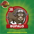 2025-07-29 16:00 38 Búfalo