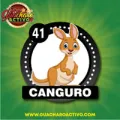 2025-08-16 08:00 41 Canguro