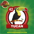 2025-06-13 13:00 42 Tucán