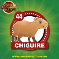 2025-08-05 15:00 44 Chiguire