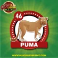 2025-08-16 15:00 46 Puma