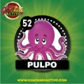 2025-06-13 09:00 52 Pulpo