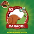 2025-03-15 17:00 53 Caracol