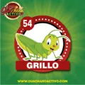 2025-04-29 10:00 54 Grillo