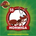 2025-06-14 08:00 58 Hormiga
