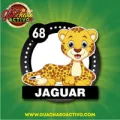 2025-03-16 11:00 68 Jaguar
