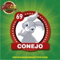 2025-08-05 16:00 69 Conejo