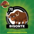 2025-06-13 18:00 70 Bisonte