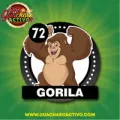 2025-07-29 09:00 72 Gorila