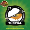 2025-06-14 11:00 74 Turpial