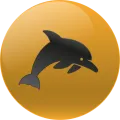 2025-03-16 10:00 0 Delfín