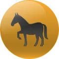 2025-03-15 11:00 12 Caballo