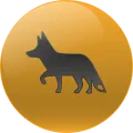 2025-03-15 13:00 15 Zorro