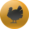 2025-09-12 09:00 17 Pavo