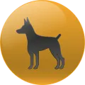 2025-03-15 09:00 27 Perro