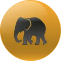 2026-01-17 19:00 29 Elefante