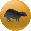 2025-03-15 19:00 31 Lapa