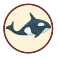 2025-04-17 10:00 00 Ballena