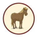 2025-04-17 08:00 12 Caballo