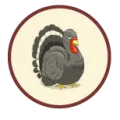 2025-06-13 12:00 17 Pavo