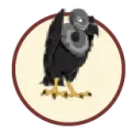 2025-04-17 09:00 28 Zamuro