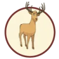2025-07-29 17:00 34 Venado