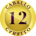 2025-06-14 09:10 12 Caballo