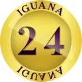 2025-04-17 16:10 24 Iguana