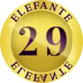 2025-07-06 09:10 29 Elefante