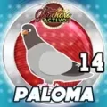 Resultado 14 Paloma de Loto Chaima el 2026-05-27 a las 08:00