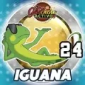 Resultado 24 Iguana de Loto Chaima el 2026-05-28 a las 10:00