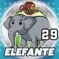 Resultado 29 Elefante de Loto Chaima el 2026-10-11 a las 12:00
