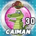 Resultado 30 Caimán de Loto Chaima el 2026-05-28 a las 08:00