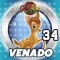 Resultado 34 Venado de Loto Chaima el 2026-06-12 a las 08:00